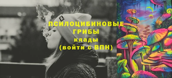 МДПВ Алексин